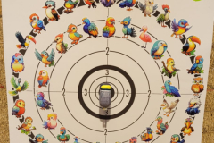 abatoiseau2025carte1