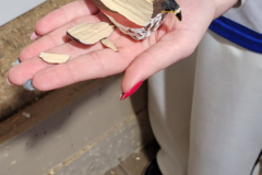 abatoiseaujeunes2025b