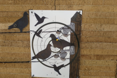 WhatsApp-Image-2026-04-18-at-16.57.32-3