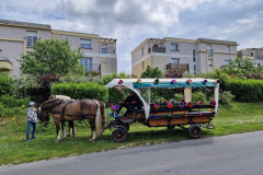 WhatsApp_Image_2024-05-19_à_13.13.42_0fb2a500