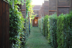 Allée des connétables, pas de tir à 50 mètres